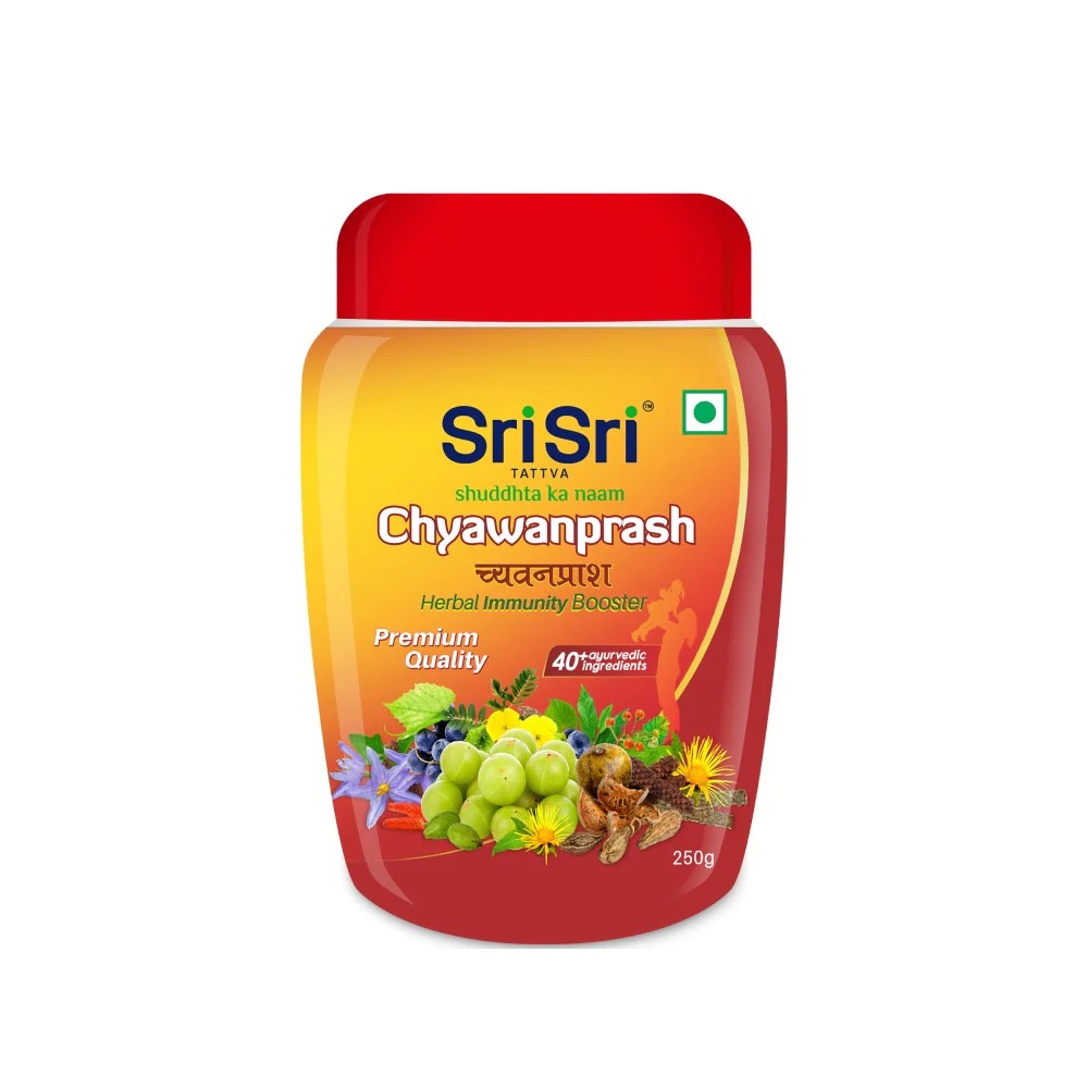 CHYAWANPRASH 250GM - Image 3